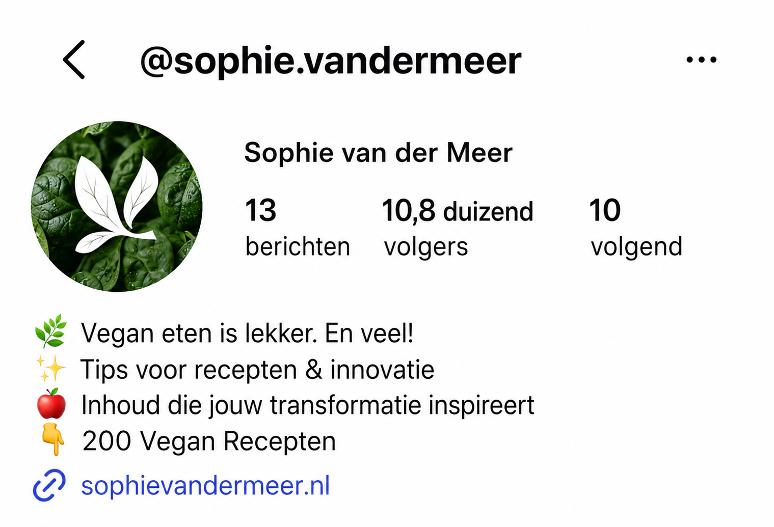 Instagram profiel @sophie.vandermeer
